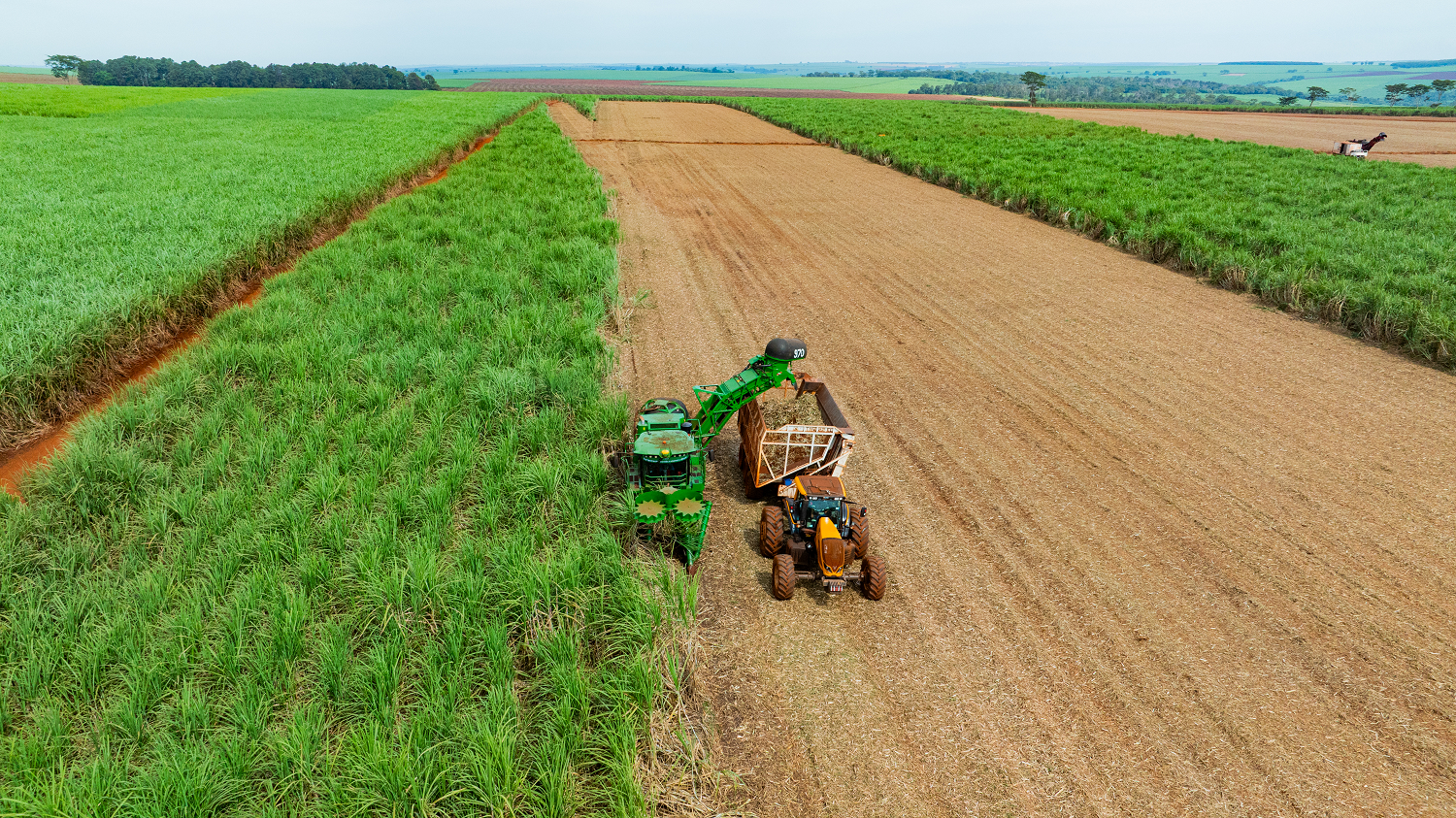 Portfólio da Bosch envolve desde soluções para uso de etanol junto ao diesel em máquinas no campo, até aplicações de biocombustíveis no agro e robôs colaborativos para facilitar processos de empacotamento de grãos e sementes