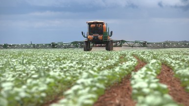 Brasil se torna Centro de Competência Global da Bosch para pesquisa, desenvolvim ...