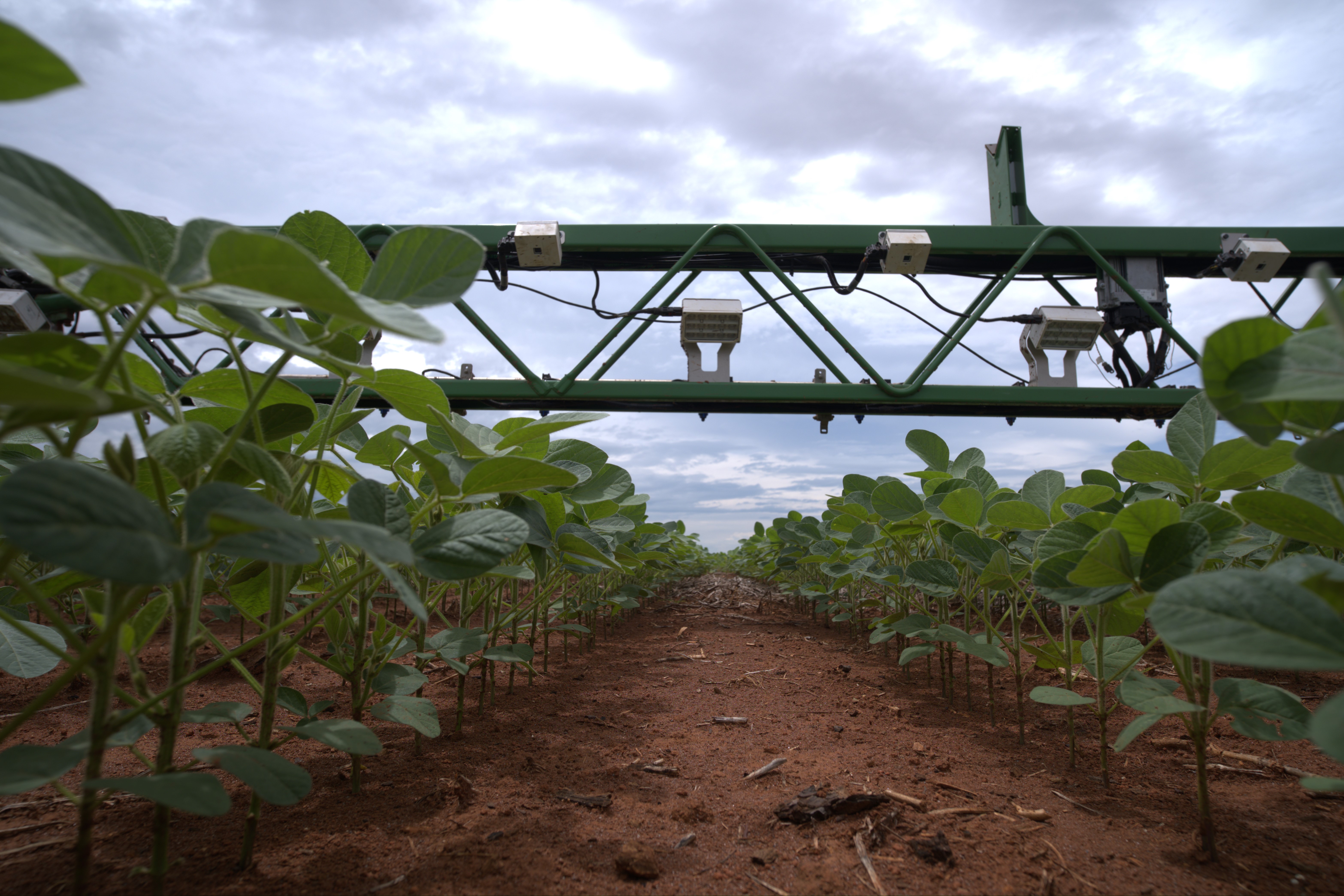 Aumento de produtividade com solução para agricultura inteligente em taxa variável da Bosch destaca-se em estudo da Embrapa