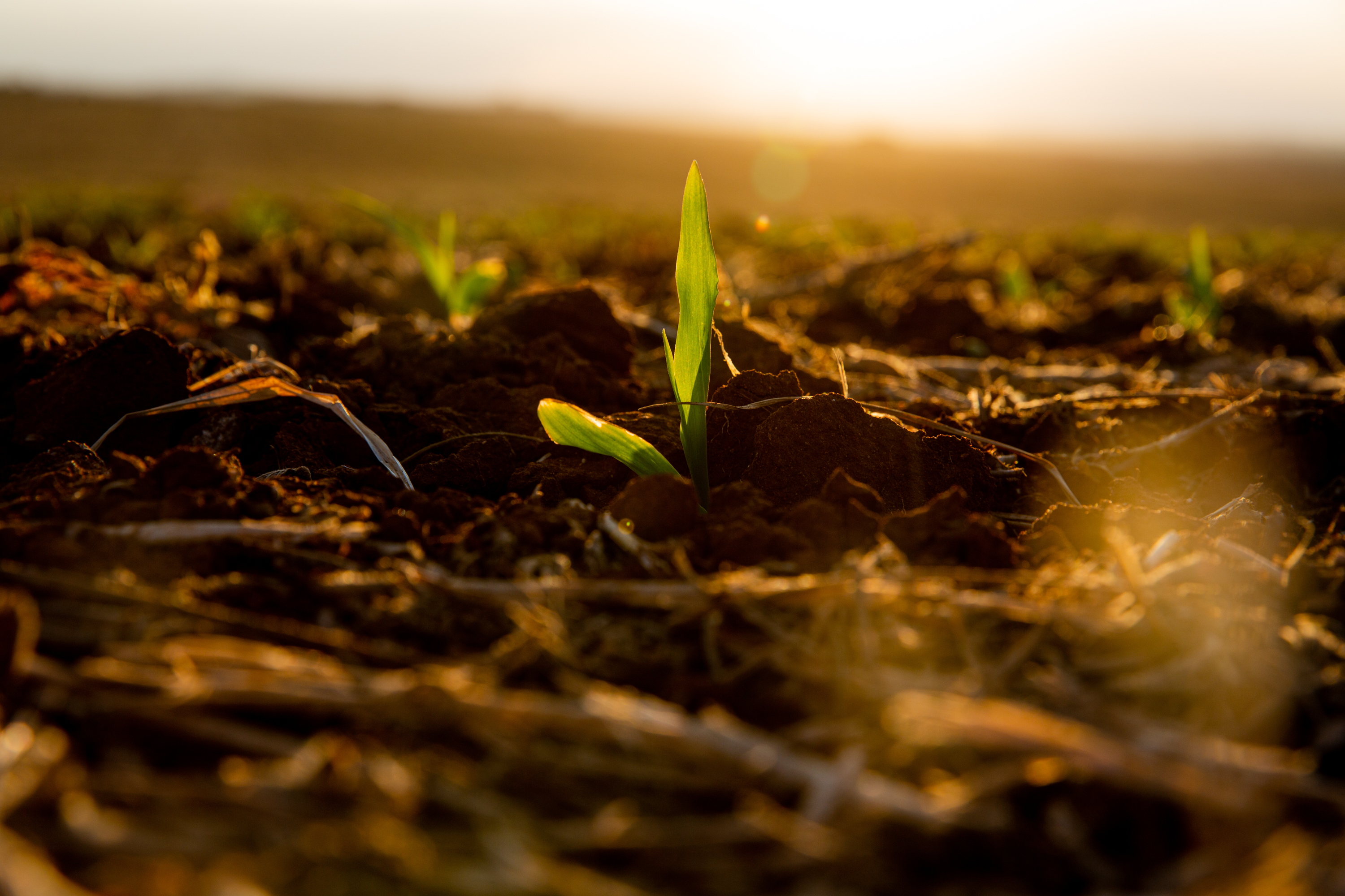 Grupo Bosch apresenta soluções ‘do plantio à colheita’ na 29ª Agrishow