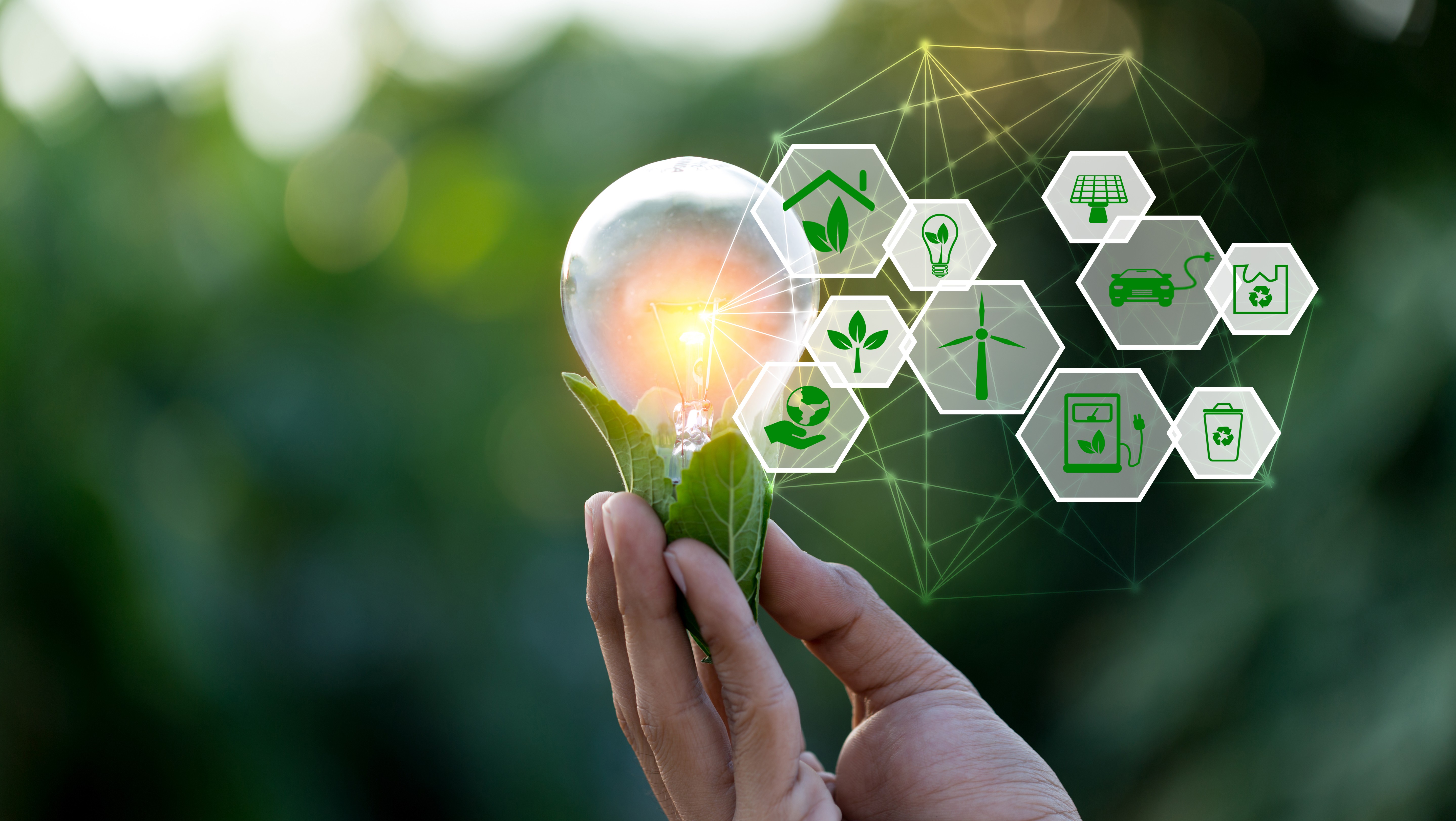 Sustentabilidade dos negócios envolve ESG