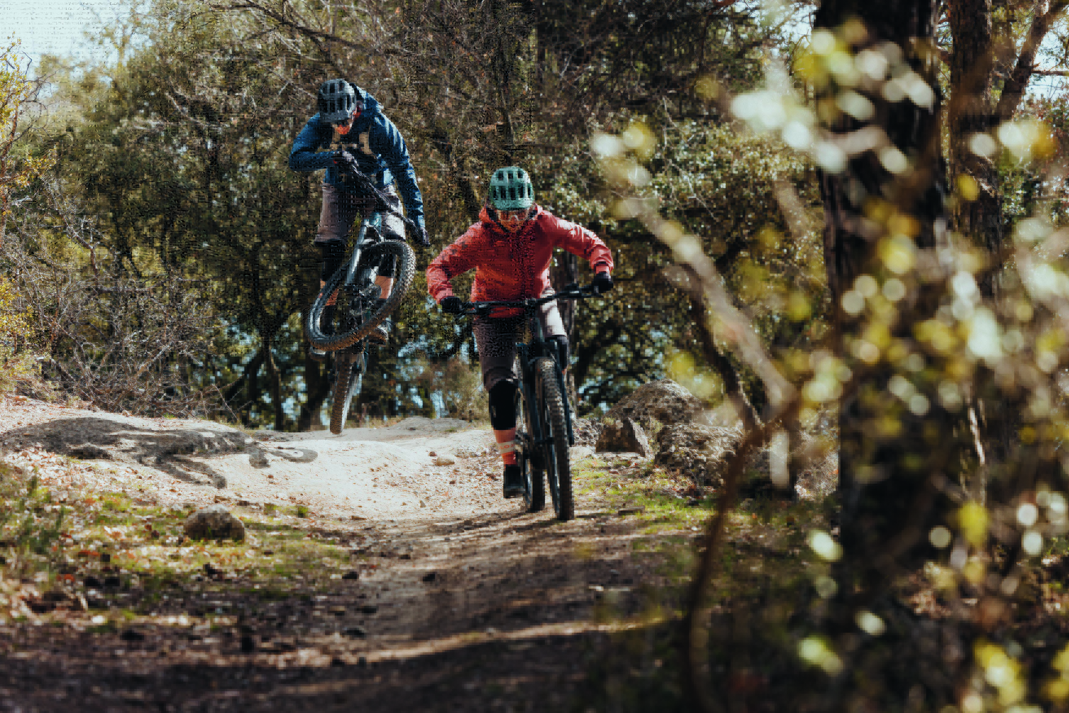 The new Bosch eBike Systems products and features are perfectly tailored to sporty adventures in challenging terrain. 