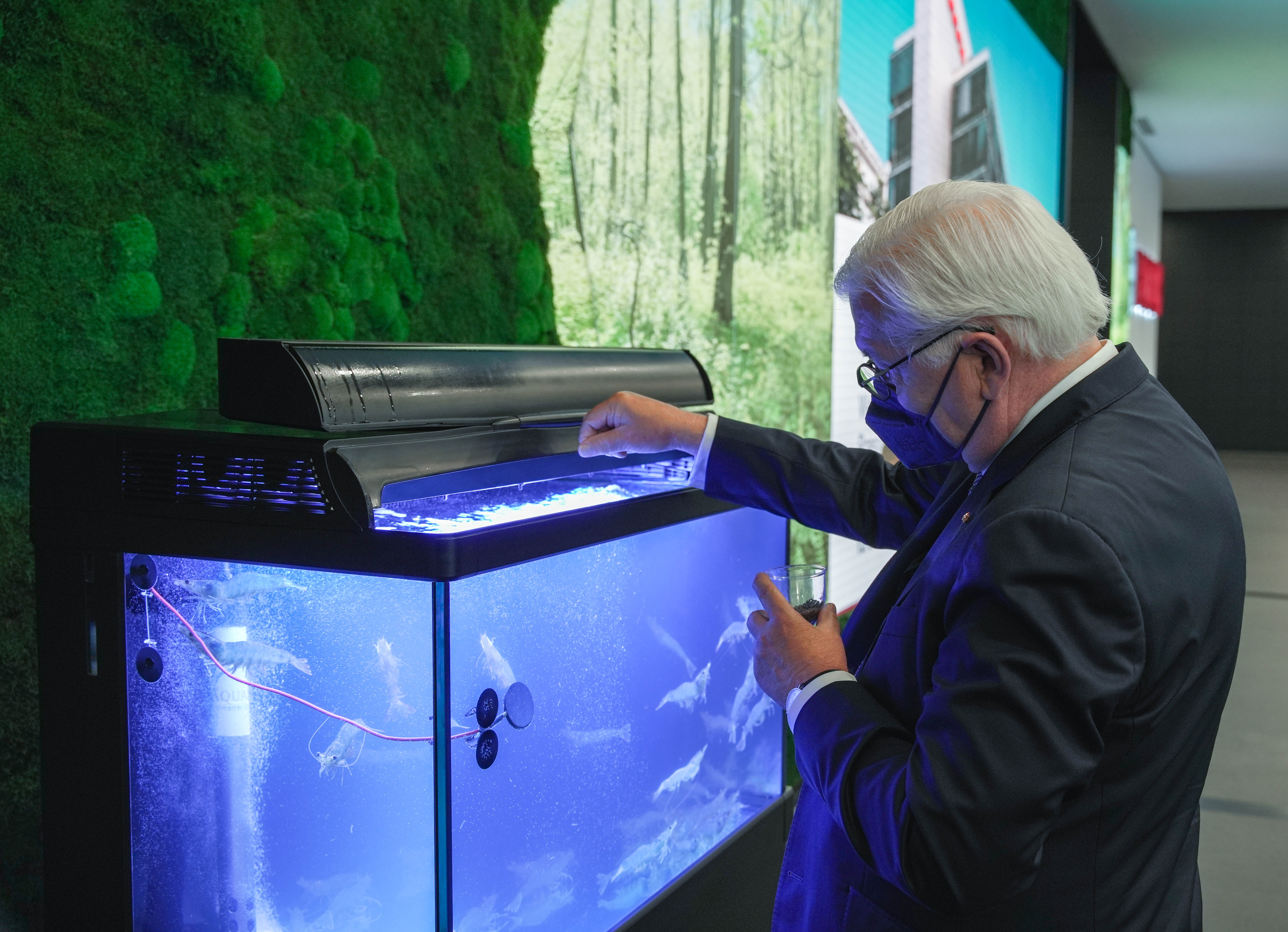 Bundespräsident Frank-Walter Steinmeier erfährt, wie das Bosch-Start-up Aqua Easy nachhaltige Garnelenzucht betreibt
