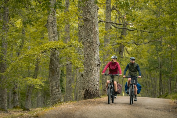 More control, more flow: the evolution of Bosch eBike ABS