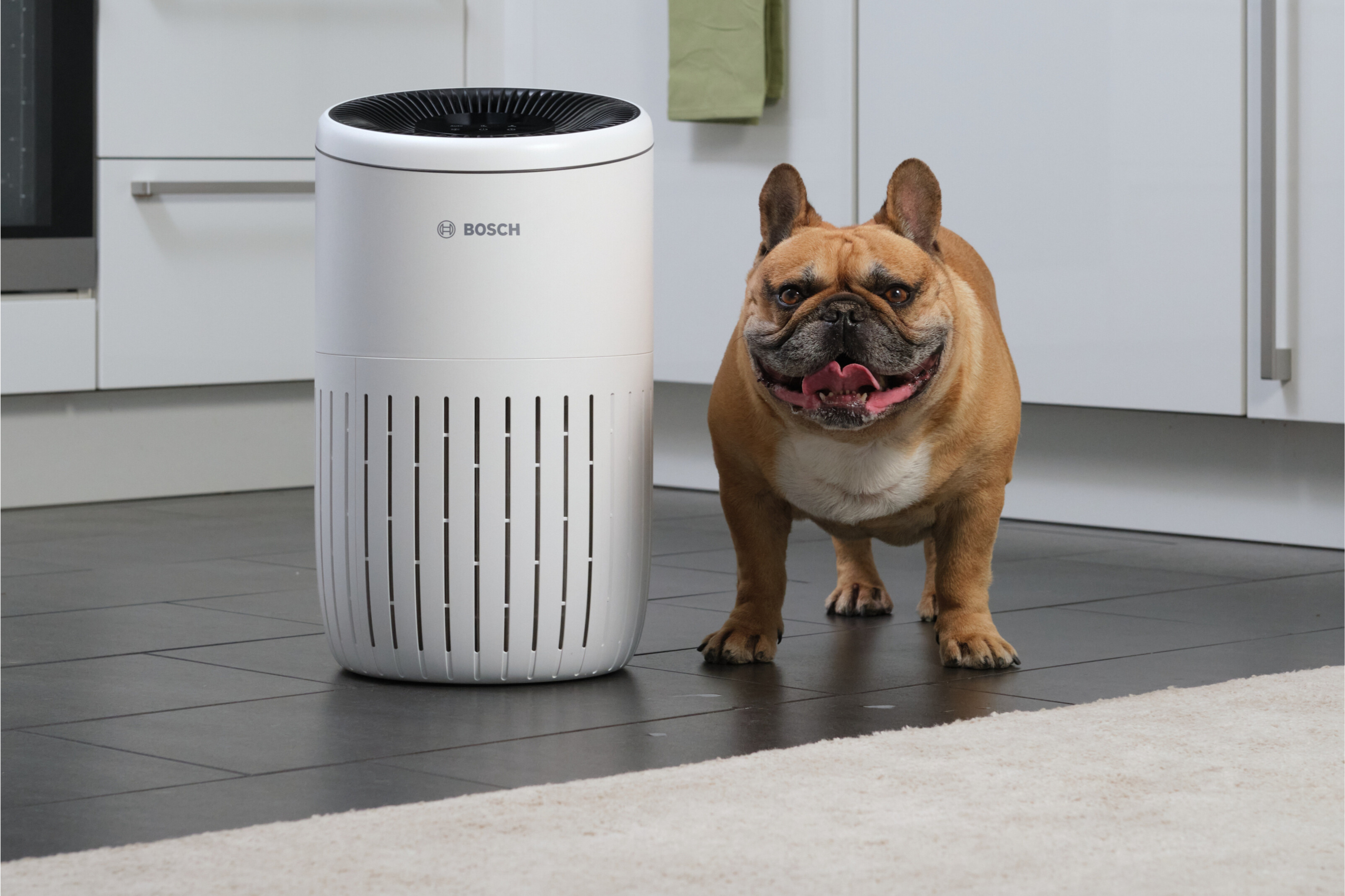 Bosch Air 1000 – Air Purifier