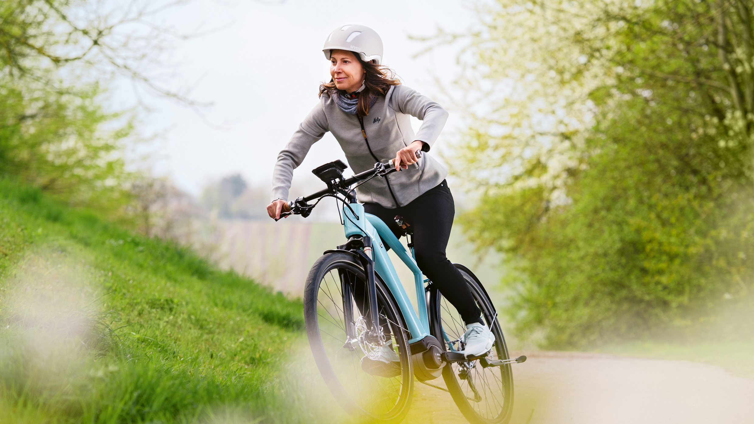 bosch e bike diagnose software bosch e bike diagnose software