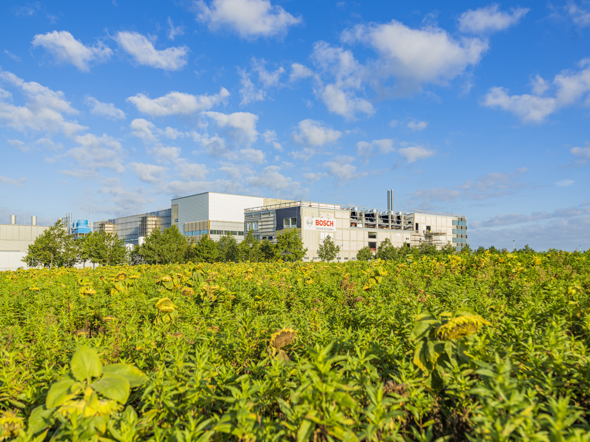 Bosch semiconductor manufacturing in Dresden