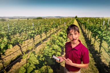 Farm #LikeABosch: connected sensor systems in viticulture