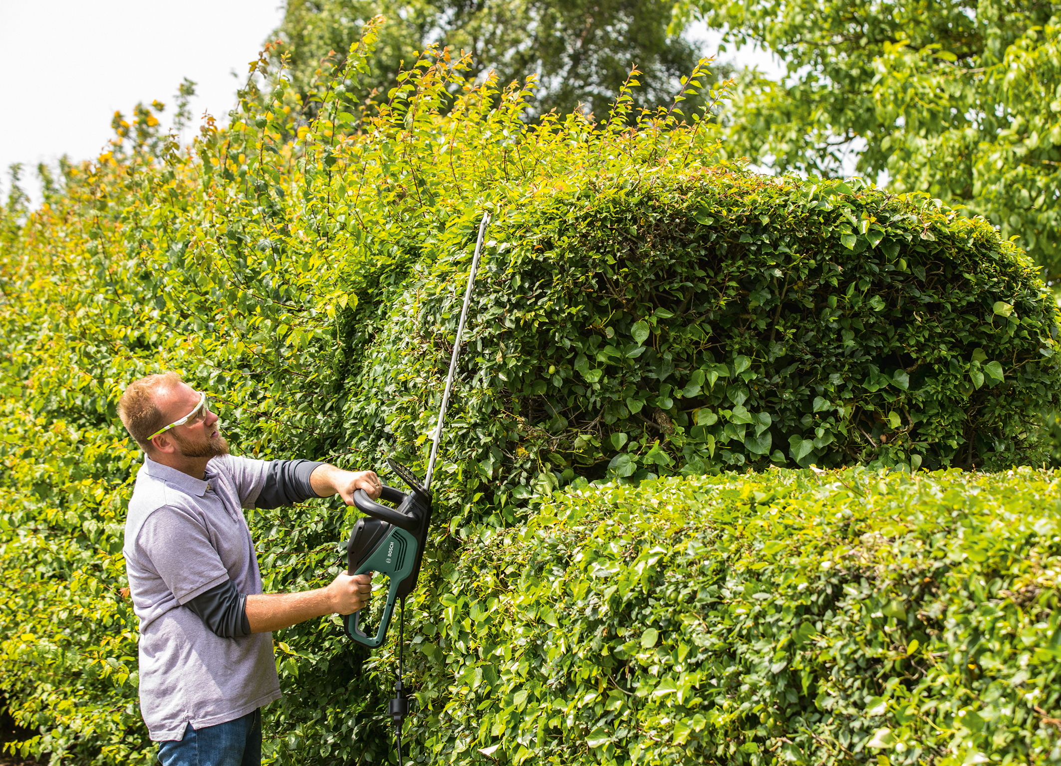 Efficient, comfortable hedge maintenance:  UniversalHedgeCut 50 and UniversalHedgeCut 60