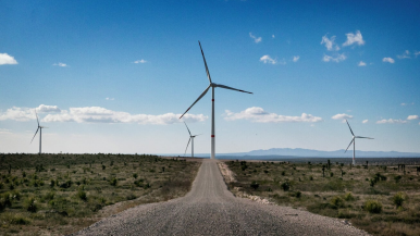 Wie Bosch-Fabriken den Klimaschutz vorantreiben