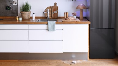 Autumn Highlights 2020 from Bosch Smart Home