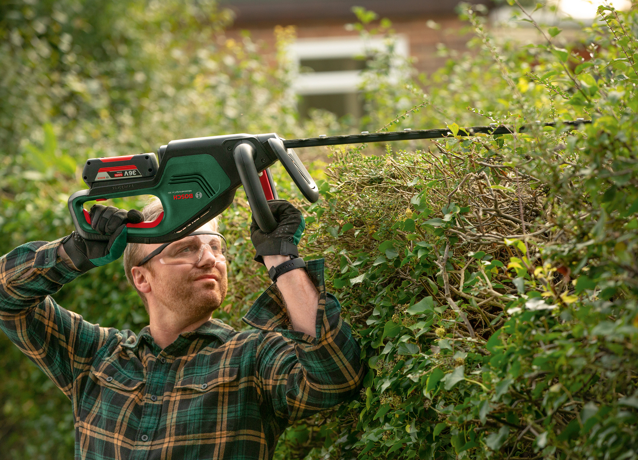 Effortless cutting of dense hedges and shrubs: AdvancedHedgeCut 36V-65-28 cordless hedgecutter from Bosch