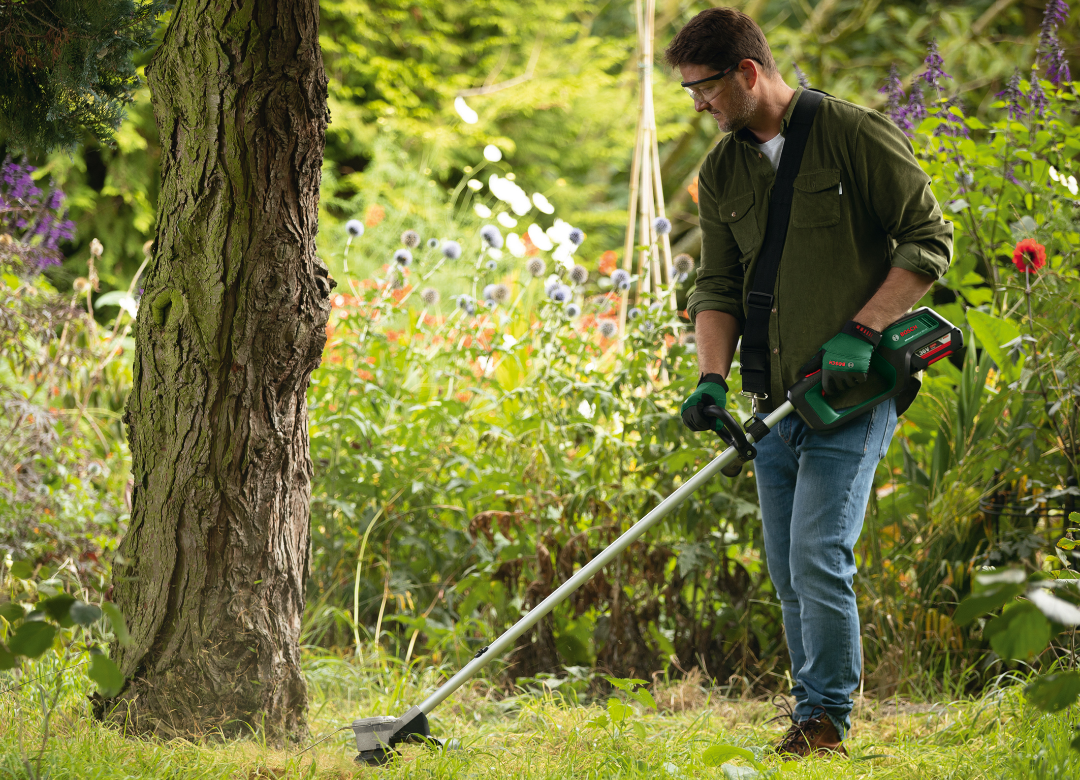 Start the gardening season with full power: AdvancedGrassCut 36V-33 cordless grass trimmer from Bosch