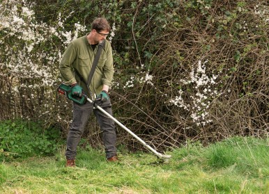 Cordless brushcutter AdvancedBrushCut 36V-23-750 from Bosch: Clear undergrowth e ...