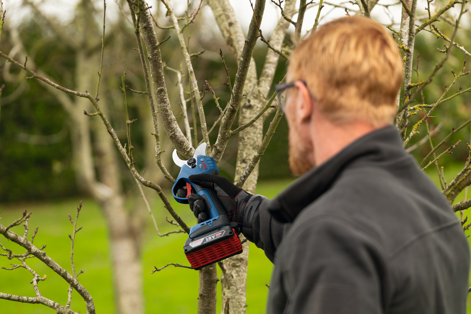 Cordless Pruning Shears for Professional Garden Care