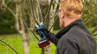 New in the Bosch Professional 18V System: Cordless Pruning Shears for Profession ...