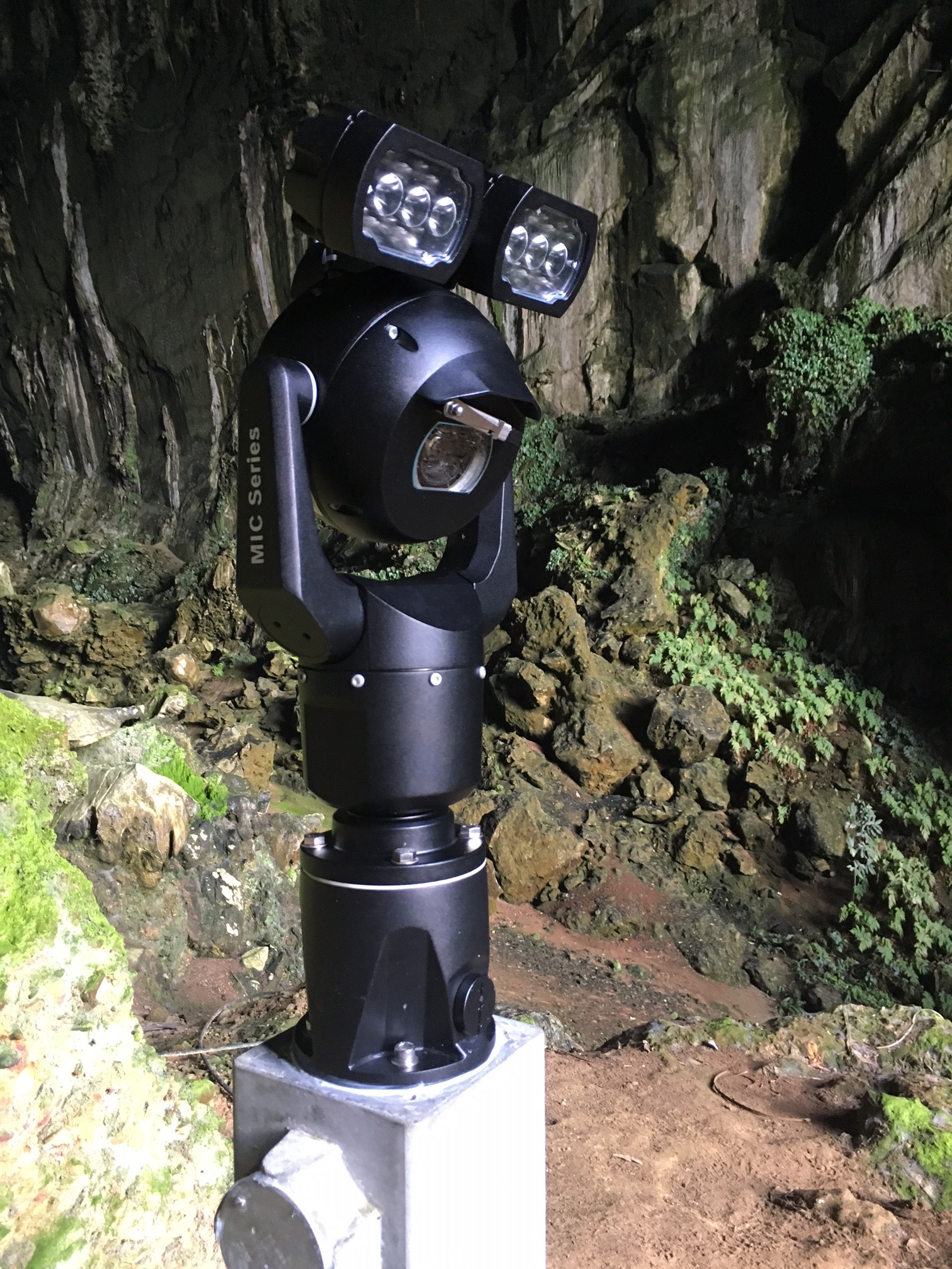 Bat watching in Borneo’s UNESCO World Heritage Mulu National Park with MIC Cameras from Bosch