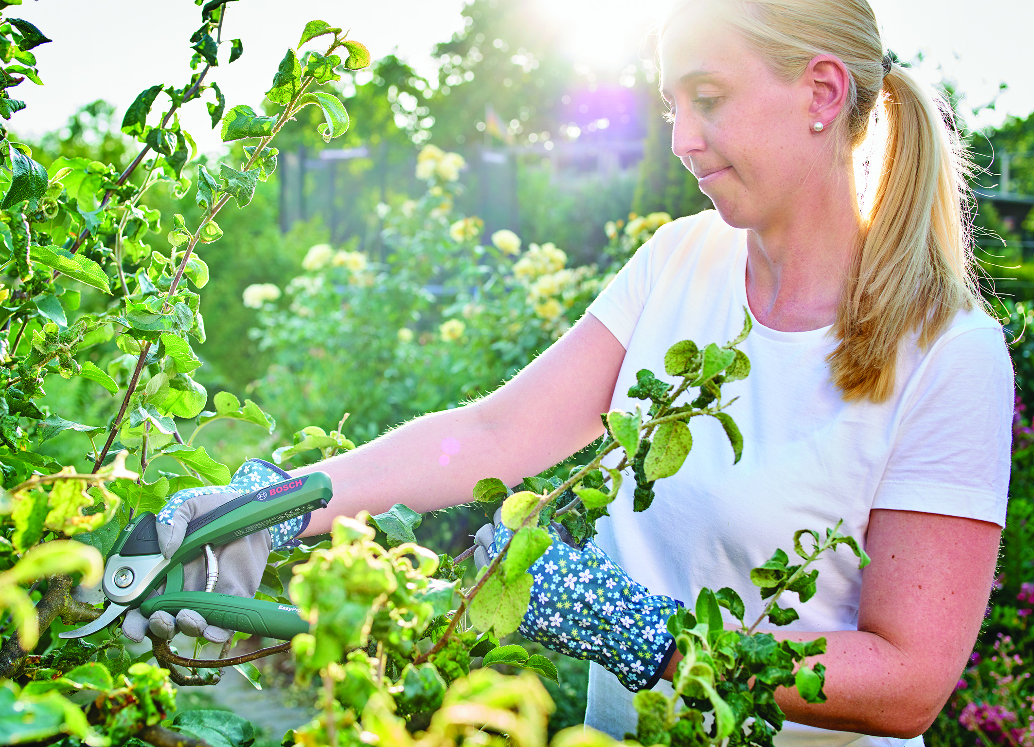 Power Assist-Technologie für Kraft, wenn man sie braucht:  Kraftunterstützte Akku-Gartenschere Bosch EasyPrune