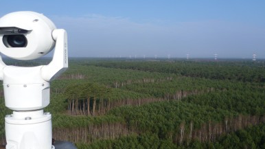 "Onde há fumaça, há fogo" - câmeras Bosch monitoram florestas de distrito polonês