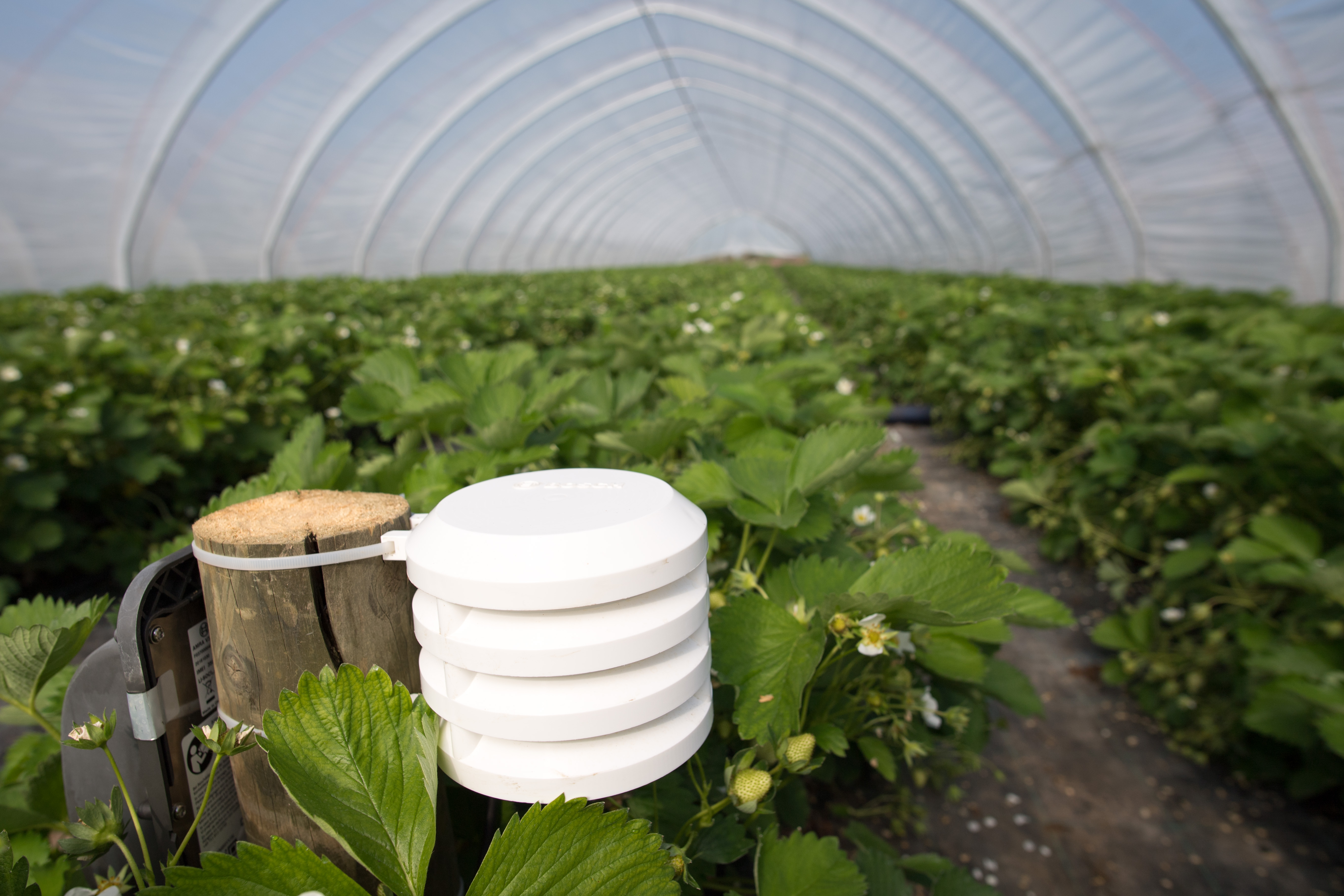 Aziende agricole high-tech: Bosch apre un mercato del valore di miliardi grazie alla tecnologia per il mondo agricolo