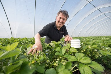 Le tecnologie Bosch al servizio dell’agricoltura