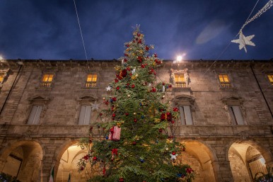 Bosch accende l’albero di Natale per il Piceno