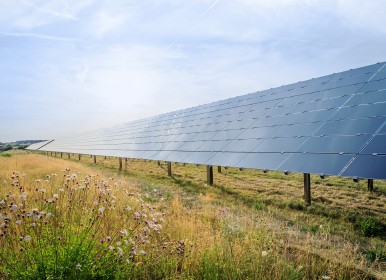 Neutralità climatica: Bosch amplia la fornitura di energia rinnovabile