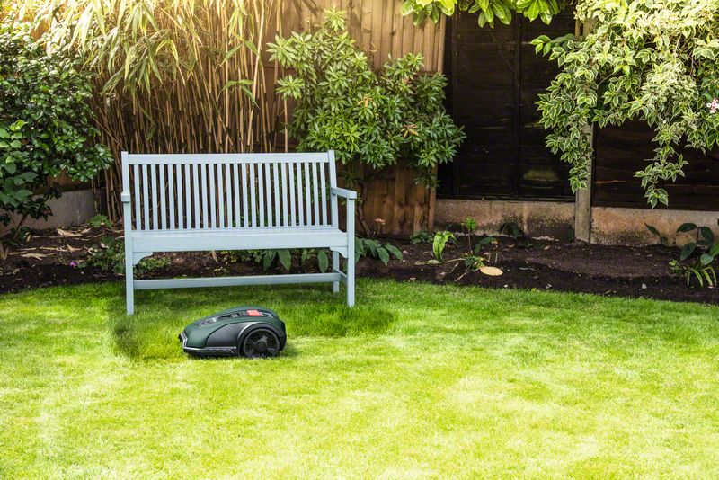 Rozpoczyna się sezon ogrodowy – jaką kosiarkę wybrać?