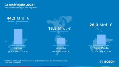 Geschäftsverlauf 2025: Deutliche Währungseffekte im regionalen Umsatz