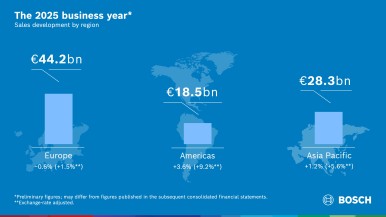 Business developments in 2025: Significant currency effects in regional sales re ...