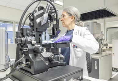 Bosch verlegt de focus naar de ontwikkeling van nieuwe energietechnologieën