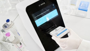 Szybki test PCR na obecność grzyba Candida auris już dostępny. Wykryje go urządz ...