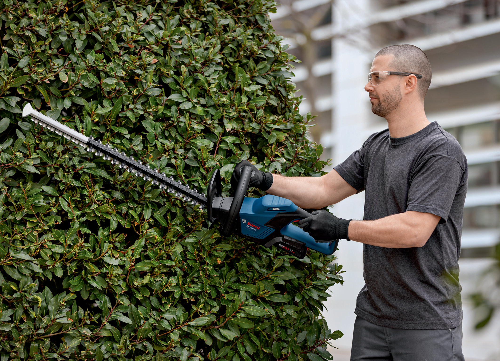 Optimized for professional use: GHE 18V-60 Professional hedge trimmer from  Bosch - Bosch Media Service